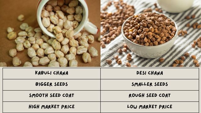 Desi Chana and Kabuli Chana Difference